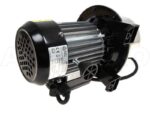 Pompe de jardin auto-amorçante Annovi & Reverberi ARGP800X- corps Inox – puissance 800 W – Image 15