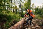 Tronçonneuse thermique STIHL MS 362 C-M VW – Image 2